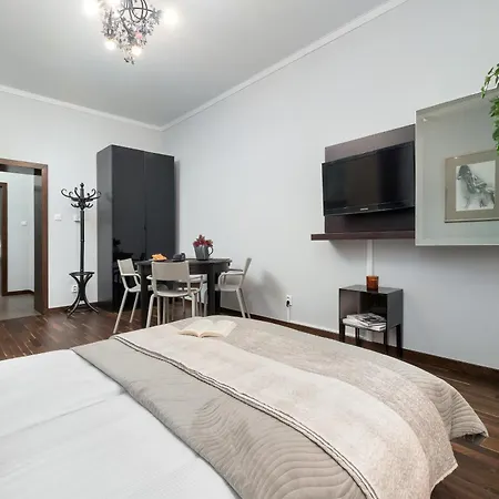 Tasteful Near The Center In By Renters